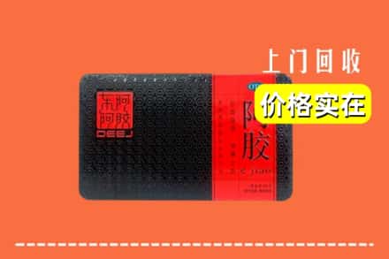榆林市定边回收阿胶