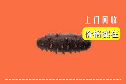 榆林市定边回收海参
