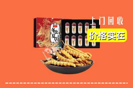 榆林市定边回收虫草
